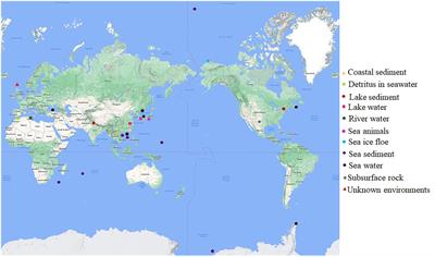 Global occurrence of the bacteria with capability for extracellular reduction of iodate